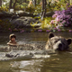 Jon Favreau's The Jungle Book